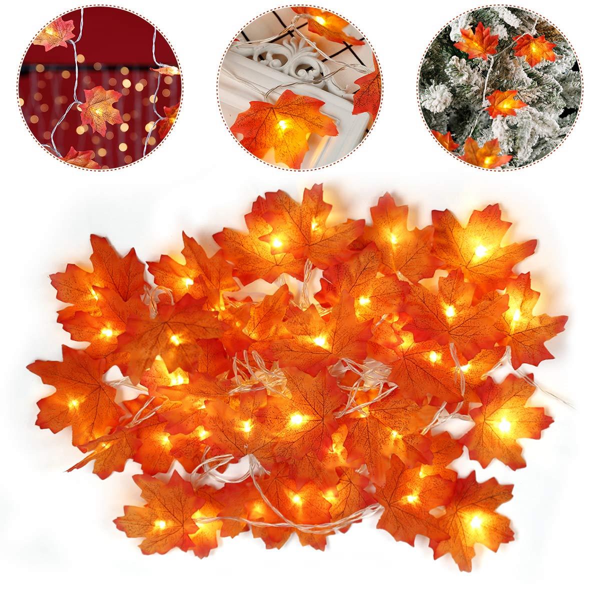 LED Lights Maple Leaves 3M – 5poundstuff